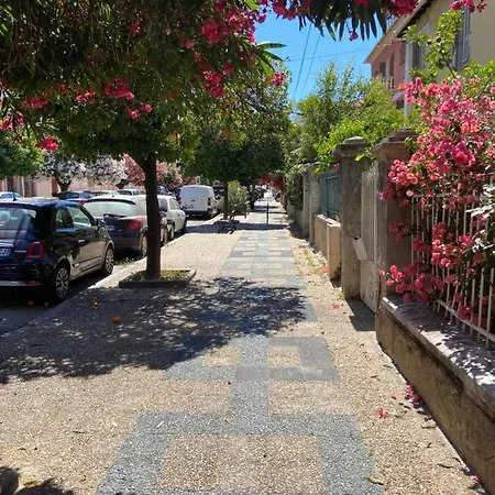 Magnifique T2 Neuf 40m2 Avec Balcon Au Trottel 4 Couchages Wifi Clim Parking A Pieds 100m Αζάτσιο