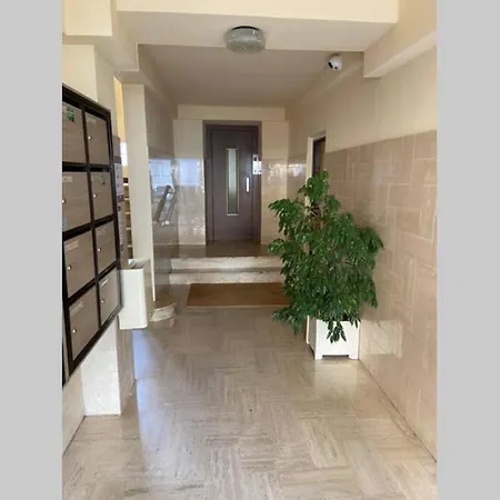 Magnifique T2 Neuf 40m2 Avec Balcon Au Trottel 4 Couchages Wifi Clim Parking A Pieds 100m Апартаменты Аяччо